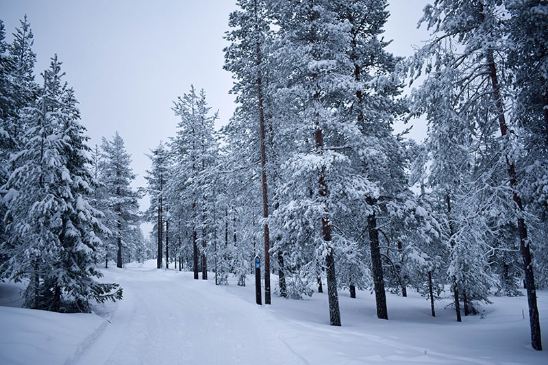 invierno finlandia